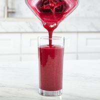 Блендер стаціонарний KitchenAid Artisan K400 карамелеве яблуко 5KSB4026ECA