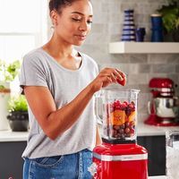 Блендер стаціонарний KitchenAid Artisan K400 карамелеве яблуко 5KSB4026ECA